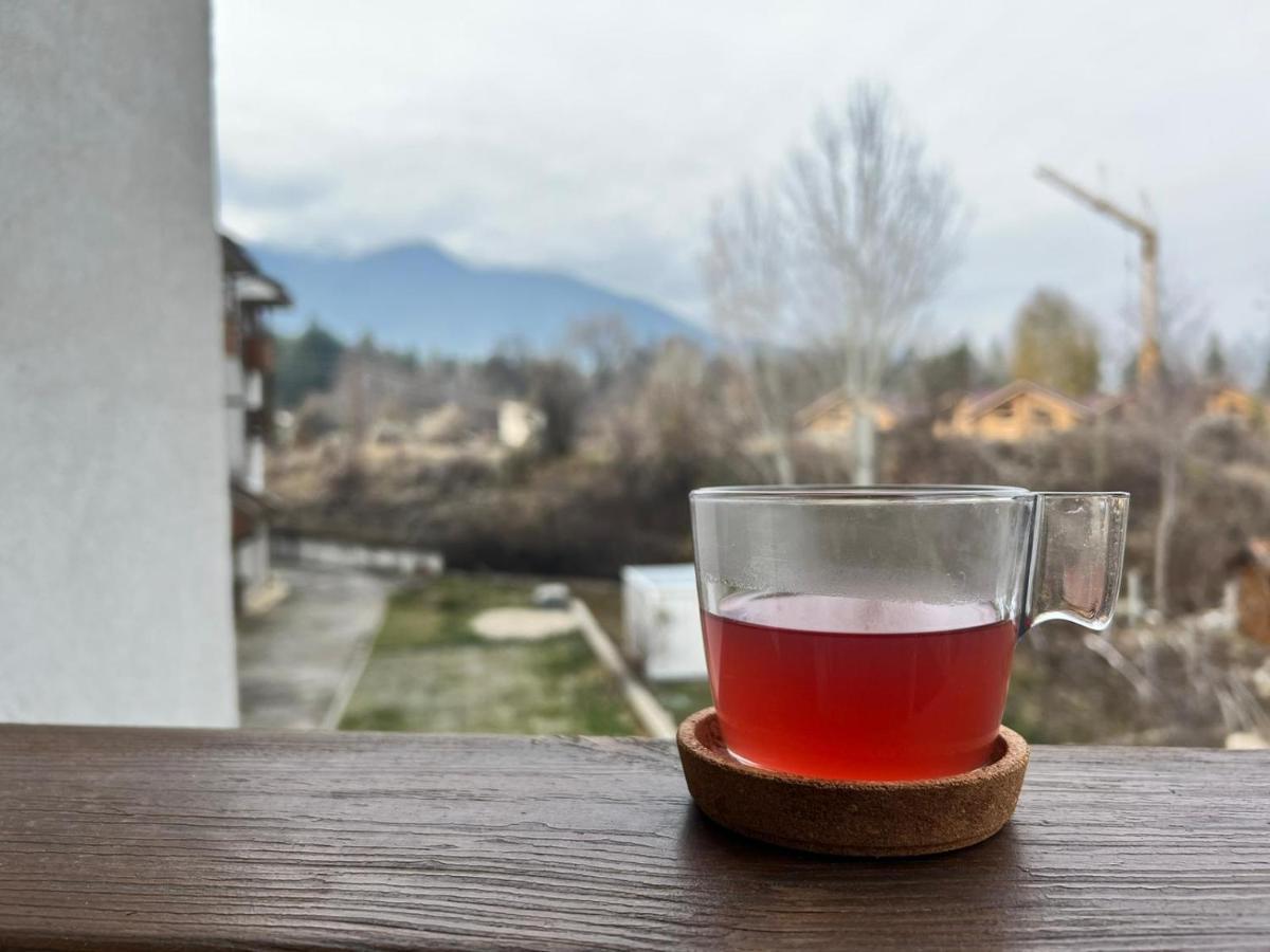 Bansko Vibes Apartments - Vesta Boutique 外观 照片
